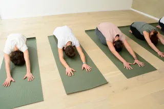 Dieser Anbieter hat keine Bildbeschreibung für dieses Bild hinterlegt