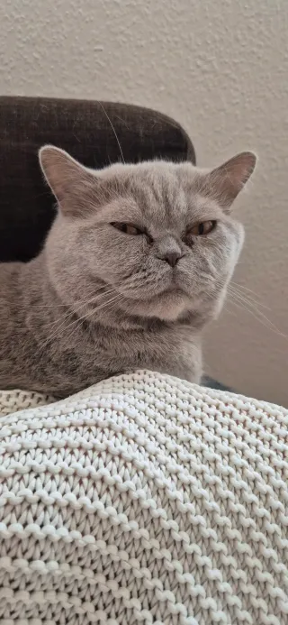 Jakub