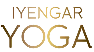 Online Iyengar Yoga Level 2 Sabine @ Bewegung & Lebenskunst