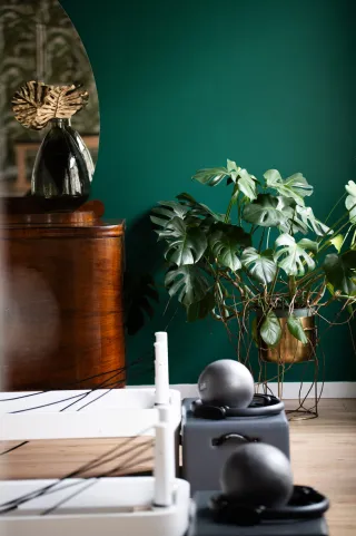 Dieser Anbieter hat keine Bildbeschreibung für dieses Bild hinterlegt