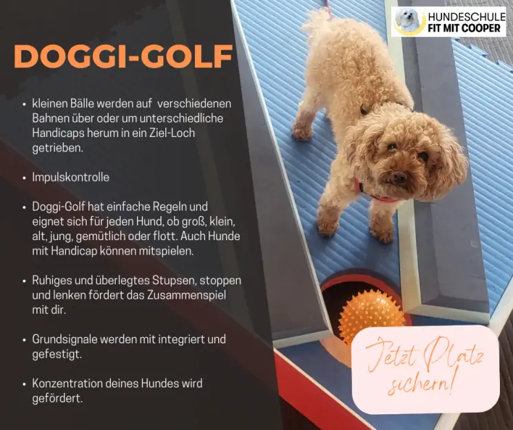 Doggi-Golf Workshop @ Hundeschule Fit mit Cooper