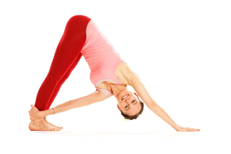 Yoga 4 Kurs- Strong and Deep- Fortgeschrittene und alle die es werden wollen - LIVE ONLINE @ Yoga Vidya Frankfurt
