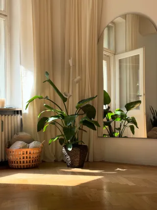 Dieser Anbieter hat keine Bildbeschreibung für dieses Bild hinterlegt