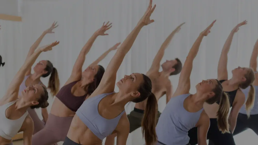 Studio YOLAYA: YOGA · HEALTH · WELLBEING