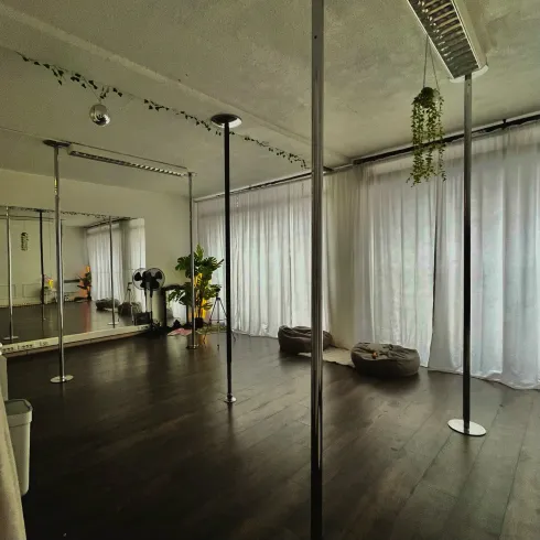 Brumi’s Pole Studio