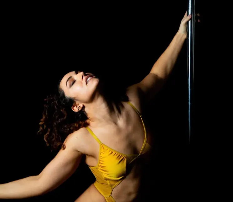 Lyrical Pole Flow - 4 week Choreo Course @ artifly pole dance studio