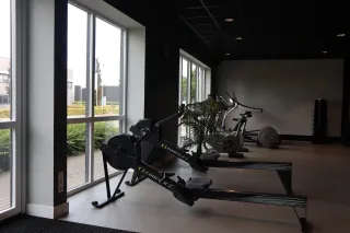 De locatie gaf geen beschrijving voor deze profielafbeelding