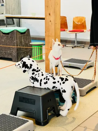 Dieser Anbieter hat keine Bildbeschreibung für dieses Bild hinterlegt
