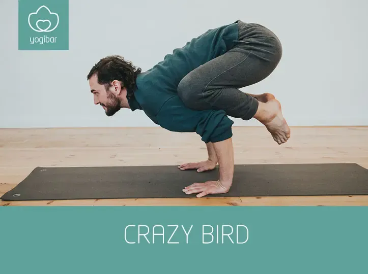 crazy bird @ Yogibar Berlin