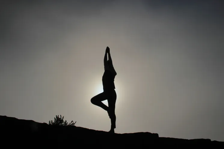 Yoga Course: Balanced Body Calm Mind 2020, with Romana @ E5 Ayurveda & Yoga Zentrum