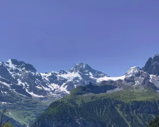 Dieser Anbieter hat keine Bildbeschreibung für dieses Bild hinterlegt
