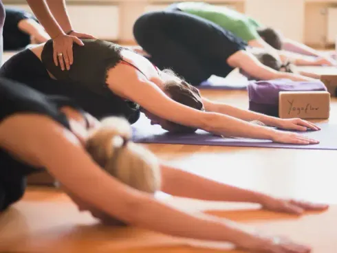 Le studio n'a pas fourni de description pour cette image