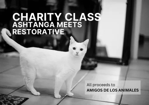 ASHTANGA MEETS RESTORATIVE (Class in benefit of Amigos de los animales, Granada, Spain). @ Ljus Studio