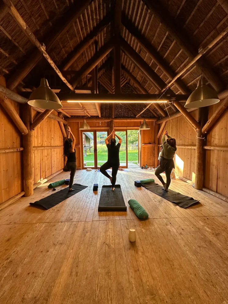 54 Sonnengrüße - Tag und Nacht Gleiche = Sun Salutations @ Mahalo Yoga