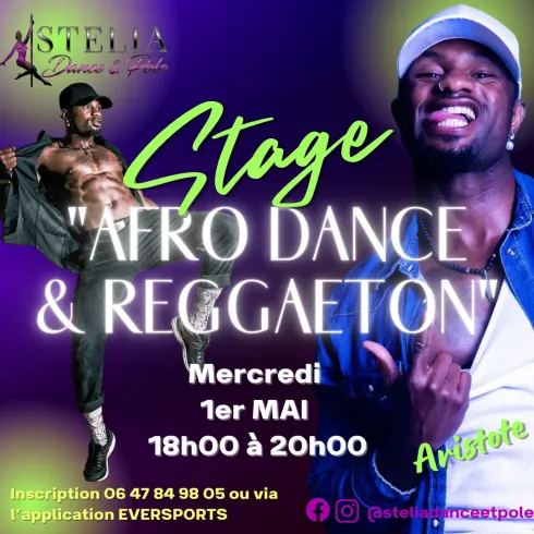 Stage 2H "REGGAETON & AFRO DANCE" avec @aristote_at_dance @ STELIA Dance & Pole