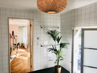 Dieser Anbieter hat keine Bildbeschreibung für dieses Bild hinterlegt
