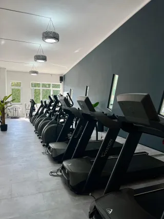 Dieser Anbieter hat keine Bildbeschreibung für dieses Bild hinterlegt