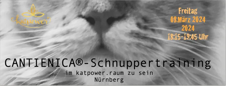 CANTIENICA®-Schnuppertraining @ katpower . raum zu sein