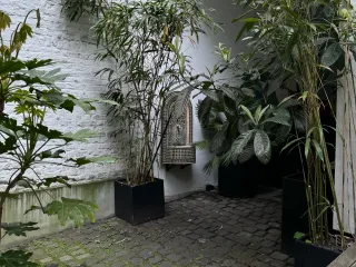 Dieser Anbieter hat keine Bildbeschreibung für dieses Bild hinterlegt