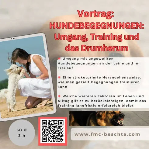 Live-Vortrag: HUNDEBEGEGNUNGEN: Umgang, Training und das Drumherum @ Hundeschule Fit mit Cooper