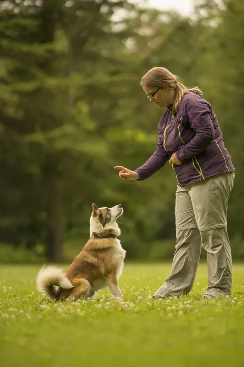 Grundsignale @ Martin Rütter Hundeschule Wiesbaden / Main-Taunus-Kreis