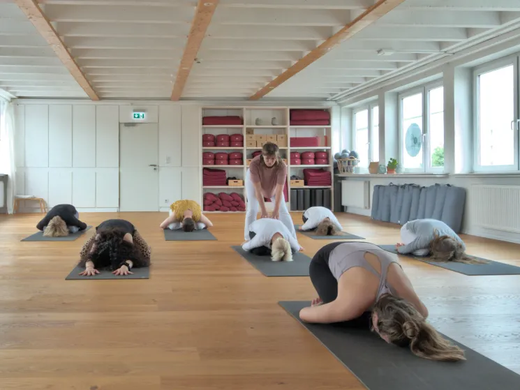 Yin Yoga • Donnerstags • 19:30 • 90 Min • Präventionskurs ab 09. Juli @ Yoga Vidya Osnabrück