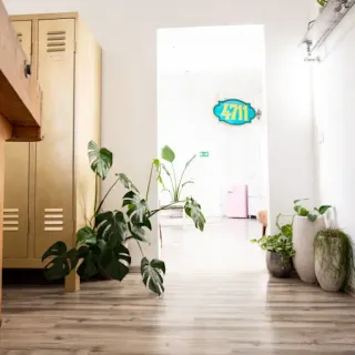 Dieser Anbieter hat keine Bildbeschreibung für dieses Bild hinterlegt