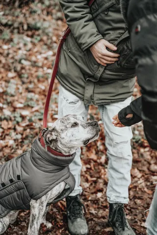 Dieser Anbieter hat keine Bildbeschreibung für dieses Bild hinterlegt