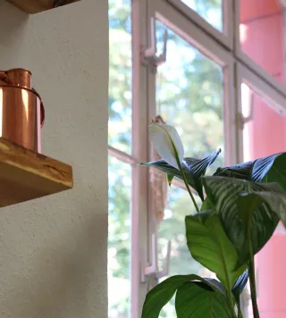 Dieser Anbieter hat keine Bildbeschreibung für dieses Bild hinterlegt