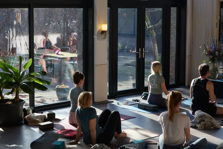 Professional Essentials | 7-daagse Verdiepingsmodule @ Yogasite