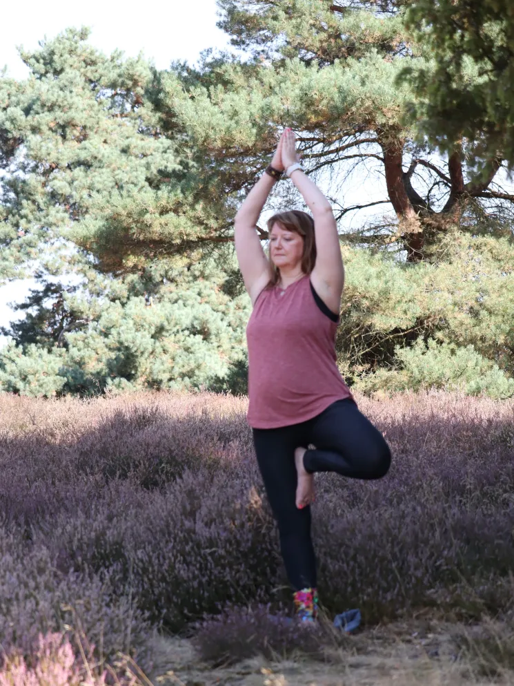 Feiertagspecial: Yoga für Freude - Lebenslust- Sonne* (Online) @ divali yoga