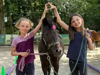 Dieser Anbieter hat keine Bildbeschreibung für dieses Bild hinterlegt