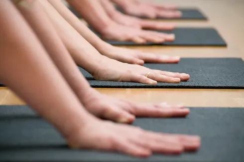 Zoom - Oster Yoga-Camp 2024 @ Yoga-Haus Dortmund