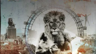 Dieser Anbieter hat keine Bildbeschreibung für dieses Bild hinterlegt