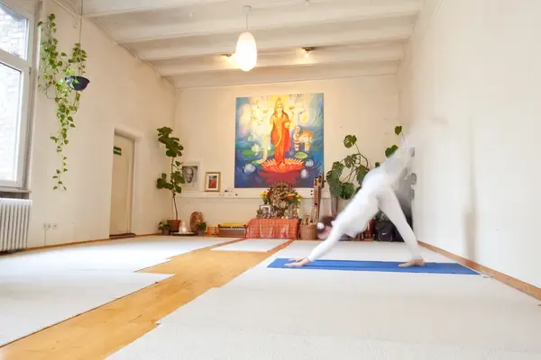 Einführungsworkshop für Yogalehrerausbildung kompakt - LIVE ONLINE @ Yoga Vidya Frankfurt