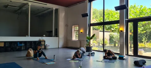 Workshop Backbends & Inversions | Met Ellen en Marieke @ Yogasite