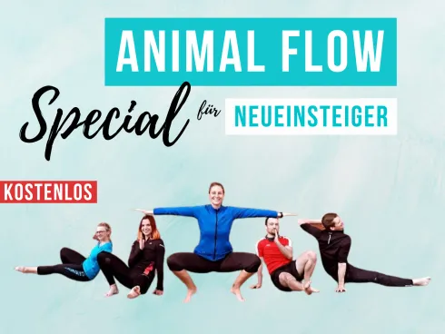 Animal Flow Special für Neueinsteiger - kostenlos! @ Denise Kettlebell Kari