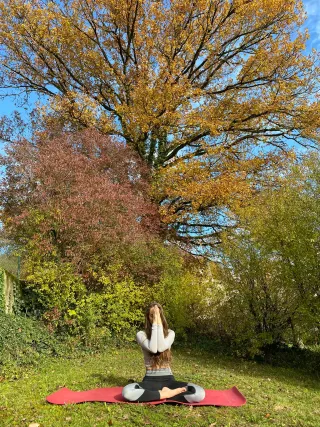 Dieser Anbieter hat keine Bildbeschreibung für dieses Bild hinterlegt