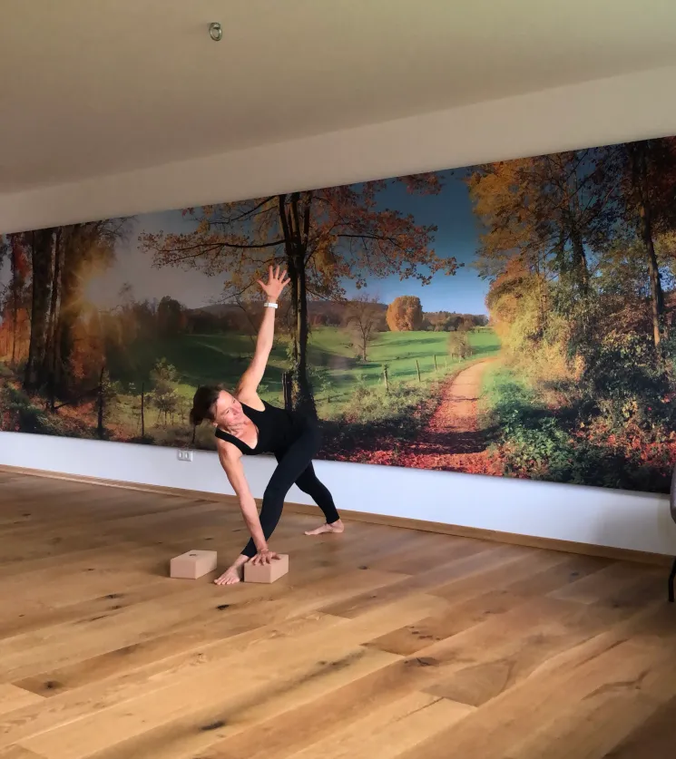 Vinyasa Yoga "move and be happy" im Stadl @ Brigitte Gnann