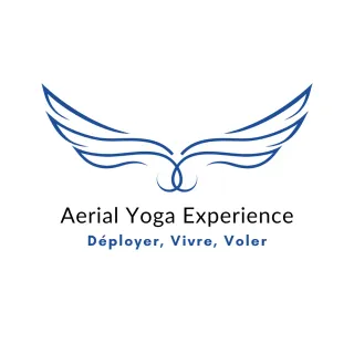 Aerial Yoga Experience