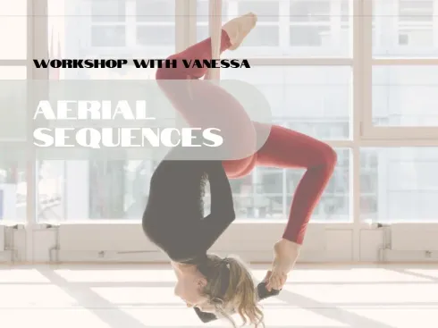 Workshop with Vanessa: Aerial Sequences (EN) @ Yoga Nest