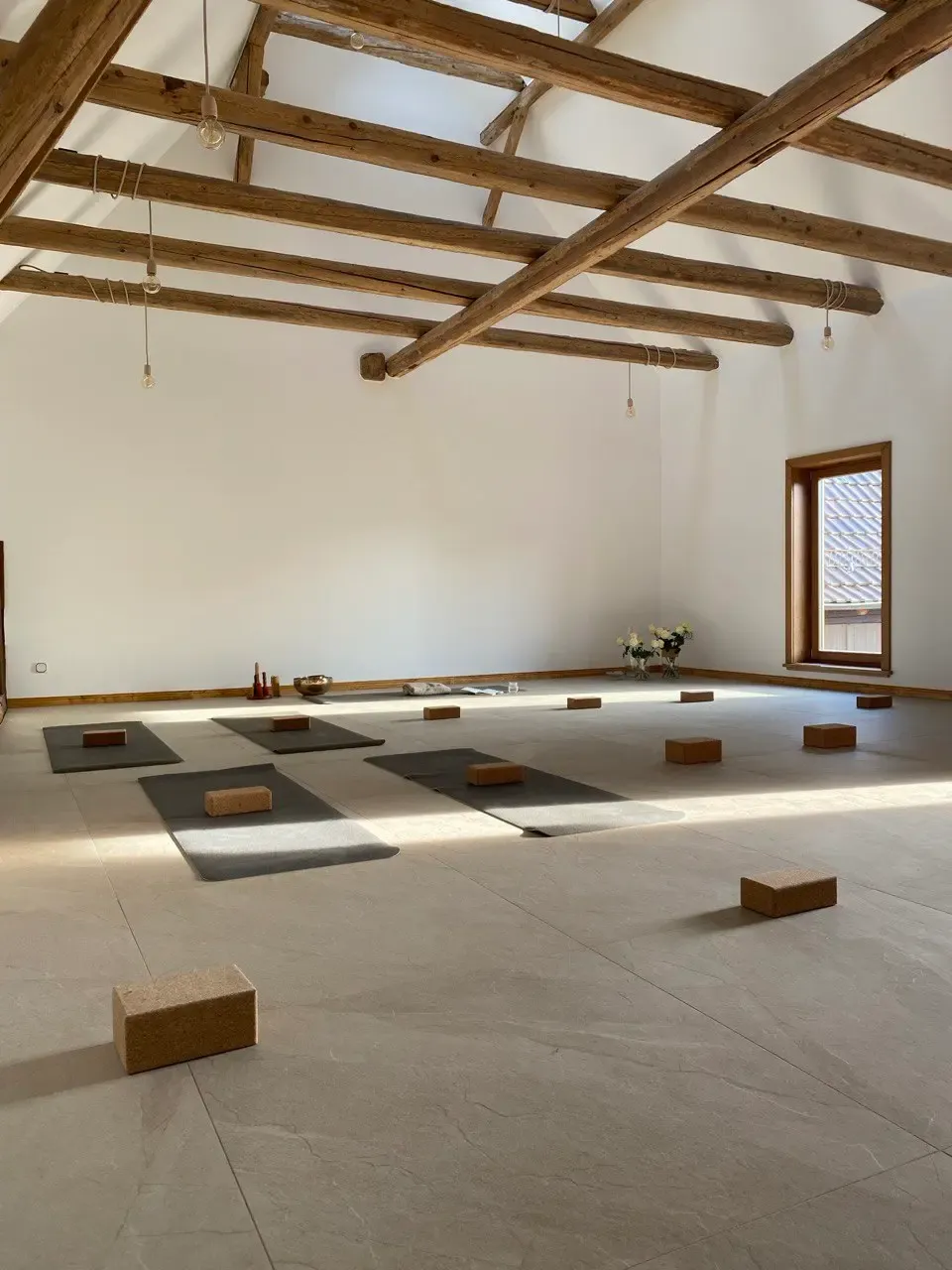 Yogalon