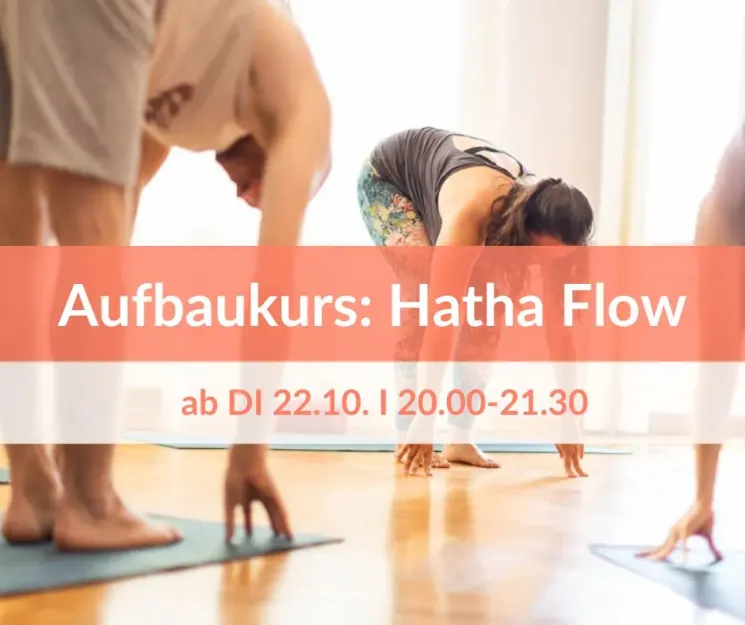 Aufbaukurs: Hatha Yoga (Hatha Flow) - ab 22.10. @ Yogahaus Dresden