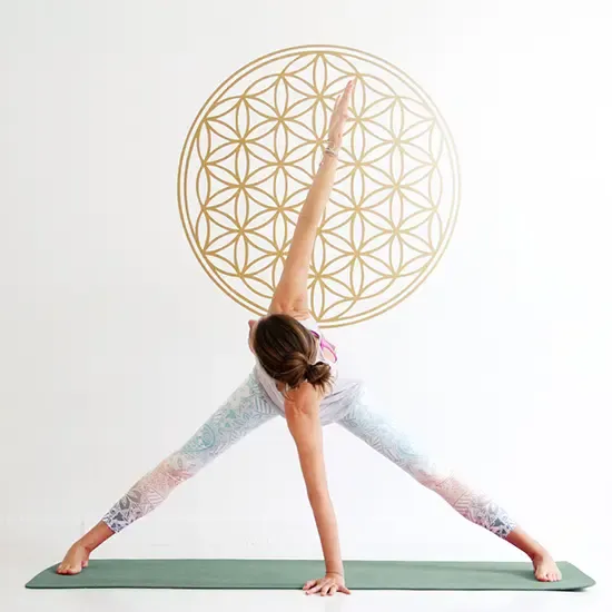 Yoga für einen gesunden Rücken @ Yoga an der Alster