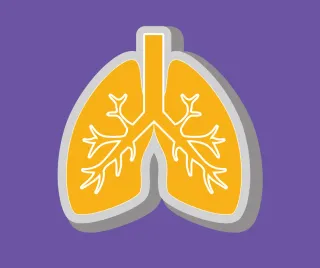 Dieser Anbieter hat keine Bildbeschreibung für dieses Bild hinterlegt