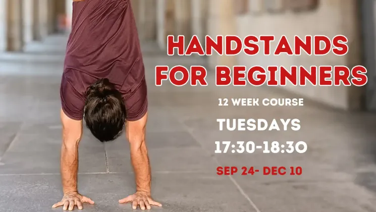 Handstands for Beginners - Autumn Course @ Acroyoga Vienna