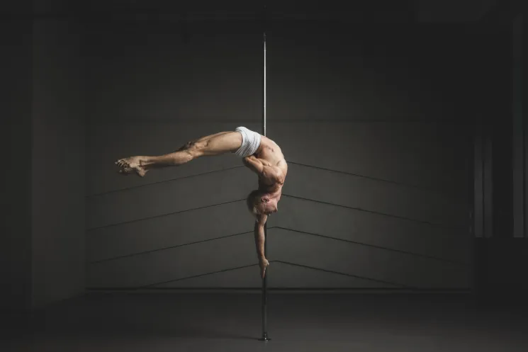 Workshop Alexander Shender: Physics of Pole - Strength, Power and Momentum @ The Pole Jungle