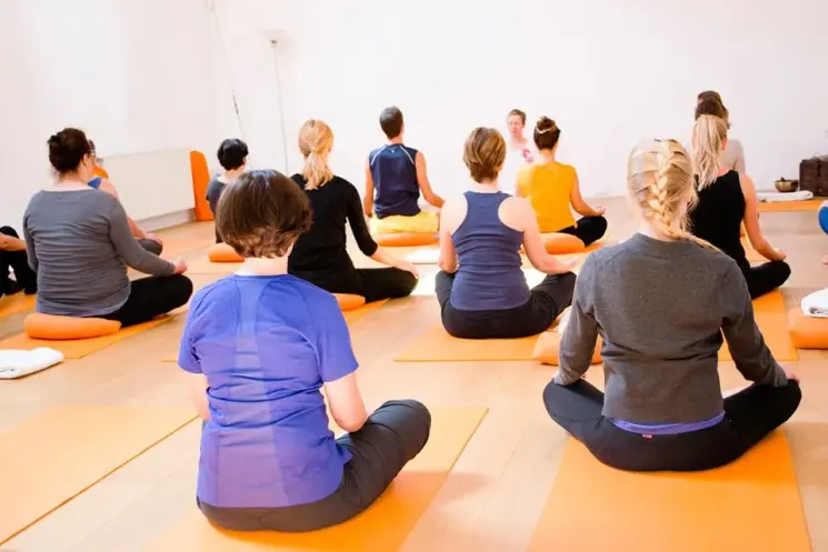 Online Class (60 min) All Levels Hatha Yoga @ Sampoorna Yoga Studio