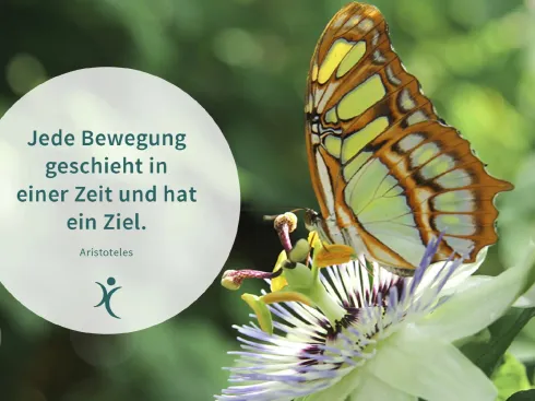 Anbieter Bild 3