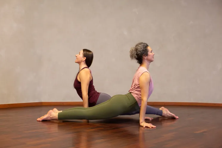 Anusara Yoga Special - Tragende Stabilität und dynamische Balance @ Santosa Yoga